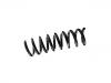 Coil Spring:172 324 02 04