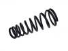 Coil Spring:JLM20162