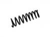 Coil Spring:XR835294