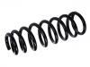 Coil Spring:55350-3L030