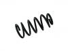 Coil Spring:33 53 6 781 176