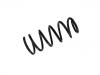 Coil Spring:33 53 6 777 198