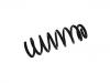 Coil Spring:31 33 6 852 110