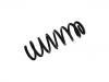 Coil Spring:31 33 6 783 004