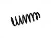 Coil Spring:31 33 6 795 212