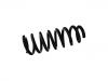 Coil Spring:31 33 6 792 969