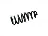 Coil Spring:31 33 6 779 968