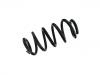 Coil Spring:8R0 411 105 BA