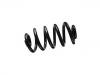 Coil Spring:8E0 511 115 FQ