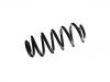 Coil Spring:8J0 511 115 CB