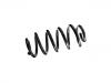 Coil Spring:8J0 511 115 AA