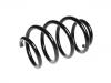 Coil Spring:8J0 411 105 BA