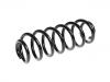 Coil Spring:8J0 511 115 K