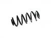 Coil Spring:8J0 511 115 BR