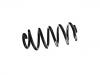 Coil Spring:8J0 511 115 AB