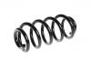 Coil Spring:8J0 511 115 BF