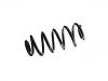 Coil Spring:8J0 511 115 AS