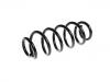 Coil Spring:8J0 511 115 AK