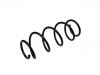 Coil Spring:50701544