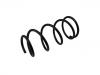 Coil Spring:4050238