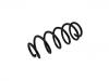 Coil Spring:5002.FH