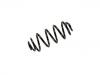 Coil spring:13 165 760