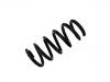 Coil spring:31 33 7 850 122