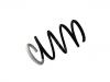 Coil spring:54 01 000 62R