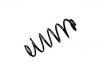 Coil spring:96 734 066 80