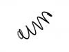 Coil spring:98 021 573 80