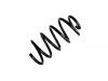 Coil spring:424 507