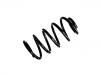 Coil spring:424 496