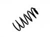 Coil spring:424 493