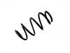 Coil spring:312 651