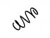 Coil spring:13440710