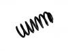 Coil spring:424 221