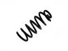 Coil spring:424 147