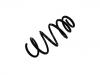 Coil spring:312 590