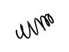 Coil spring:312 629