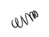 Coil spring:312 592