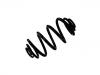 Coil spring:424 408