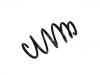 Coil spring:312 435