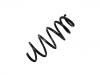 Coil spring:13402590