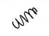 Coil spring:13265250