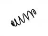 Coil spring:95511850