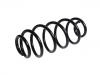 Coil spring:51837962