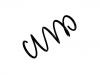 Coil spring:48131-42820