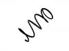 Coil spring:48131-42350