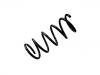 Coil spring:31304097