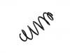 Coil spring:31262308